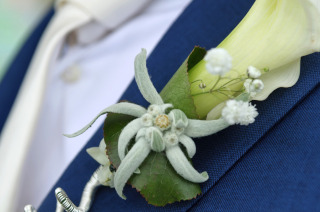 Voorbeeldfoto van Corsage Portfolio