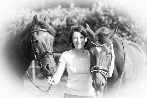 Portfolio Paarden(sport)