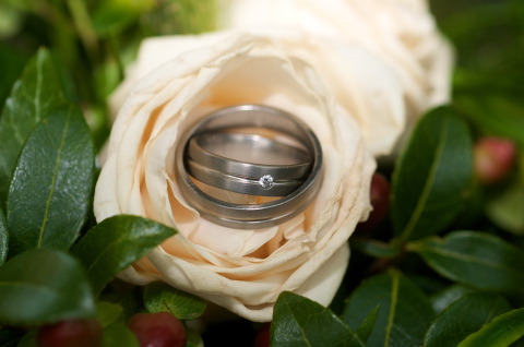 Portfolio Trouwringen